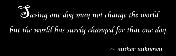 Quote